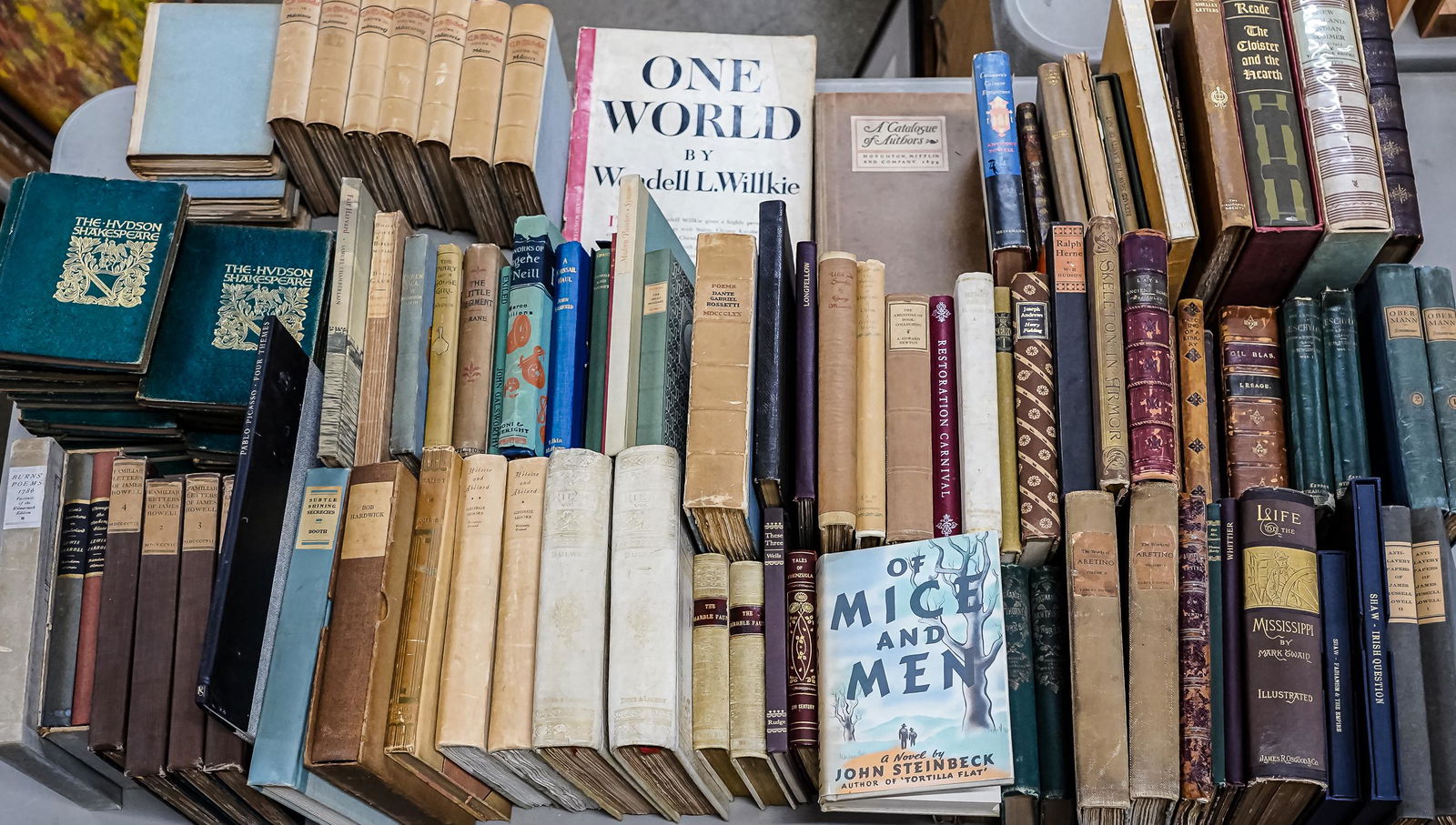 Books, Literature, Government (1 of 1)