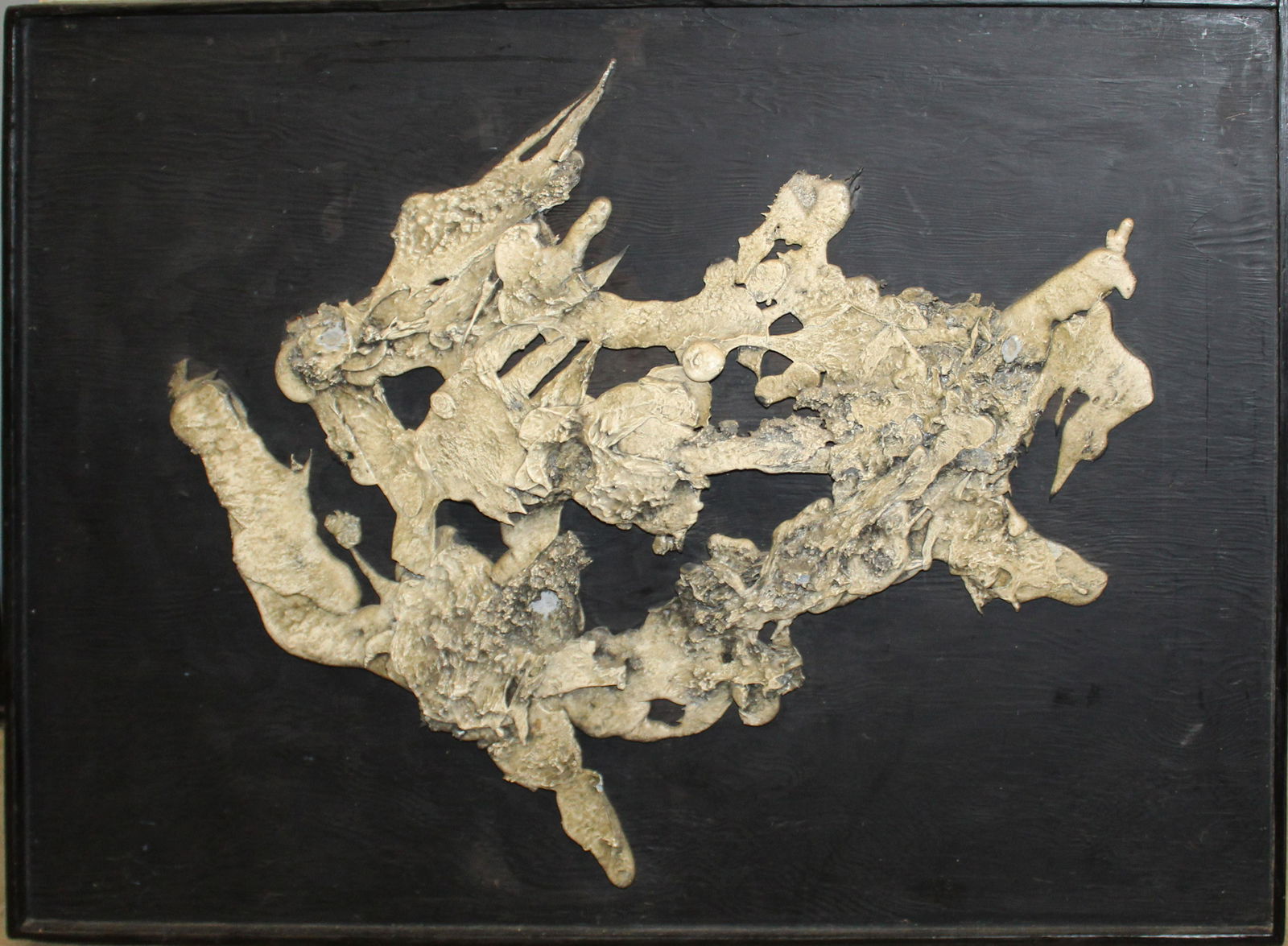 George A Curtis (ME 20th c ) Whitefish (1 of 3)