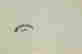 item-134313349=3