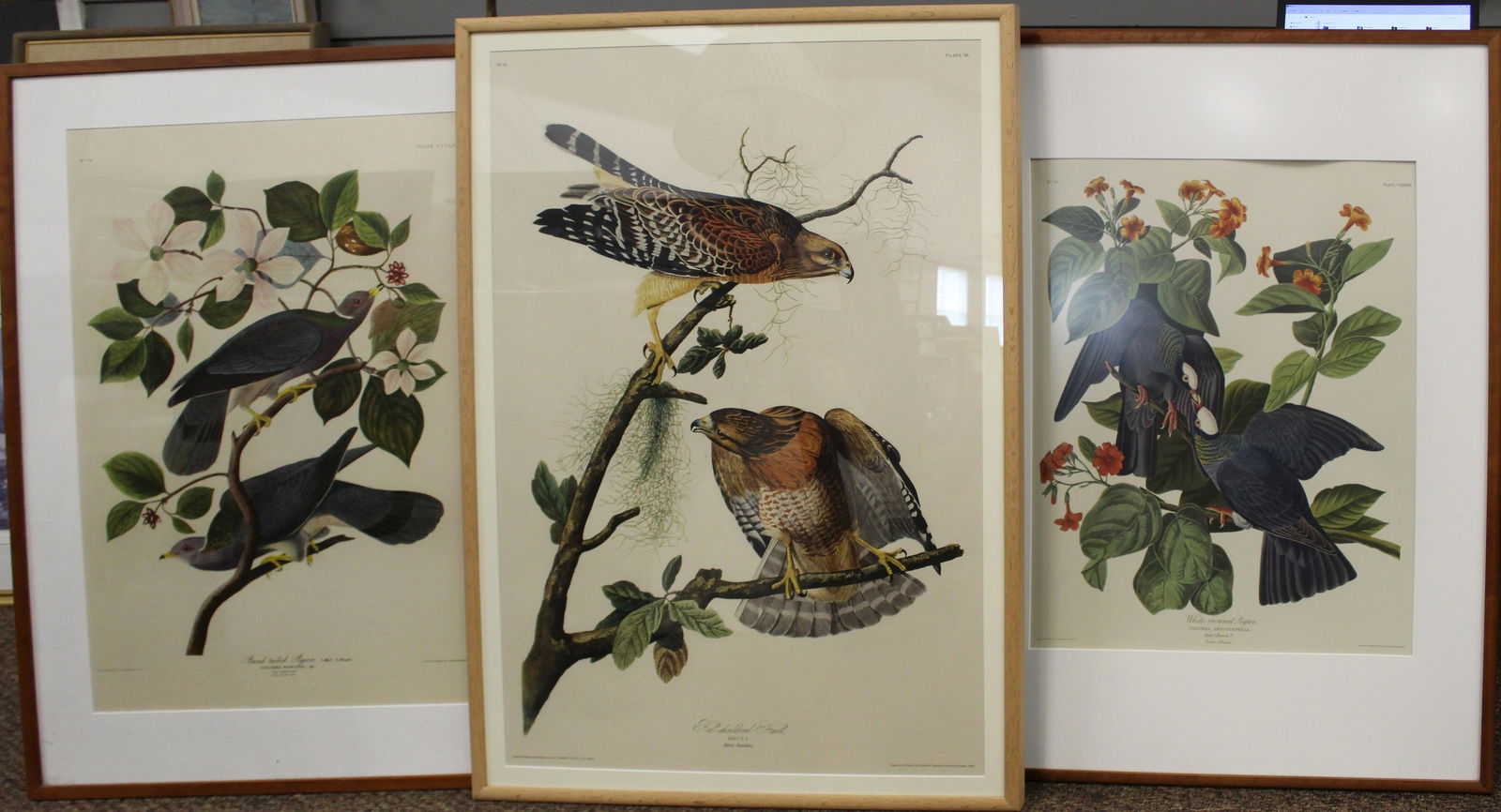 After John James Audubon (AM 1785-1851) (1 of 6)