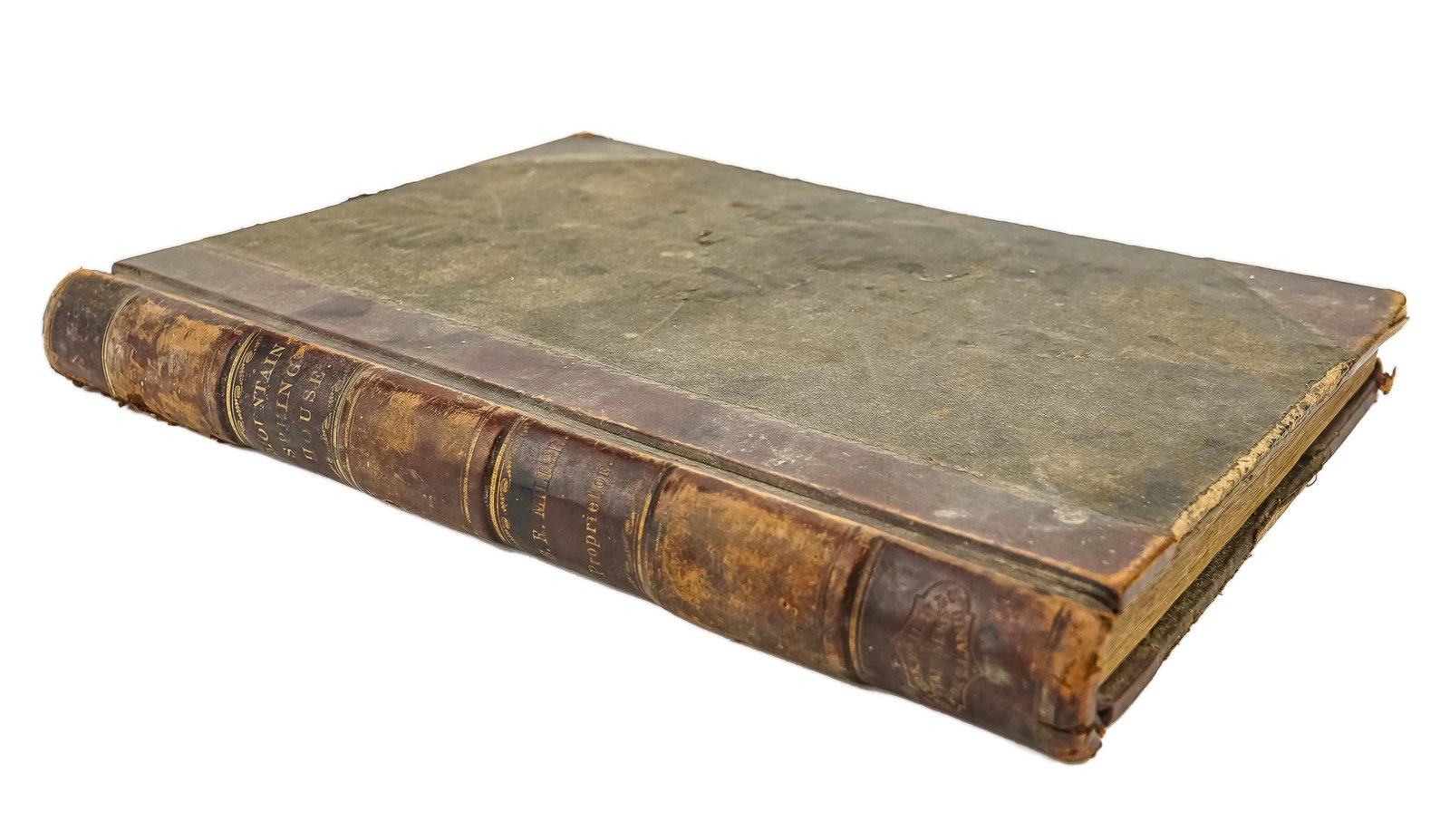 1878 Mountain Spring House Hotel Register (1 of 4)