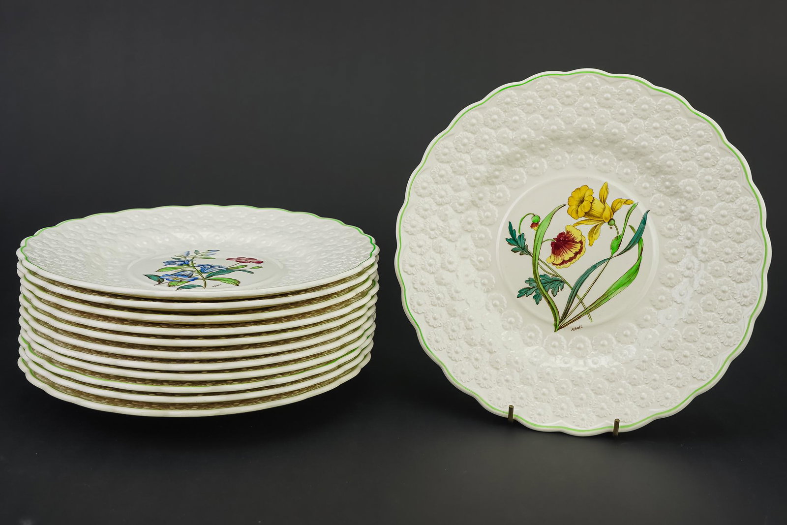 12 Copeland Spode Botanical Dinner Plates