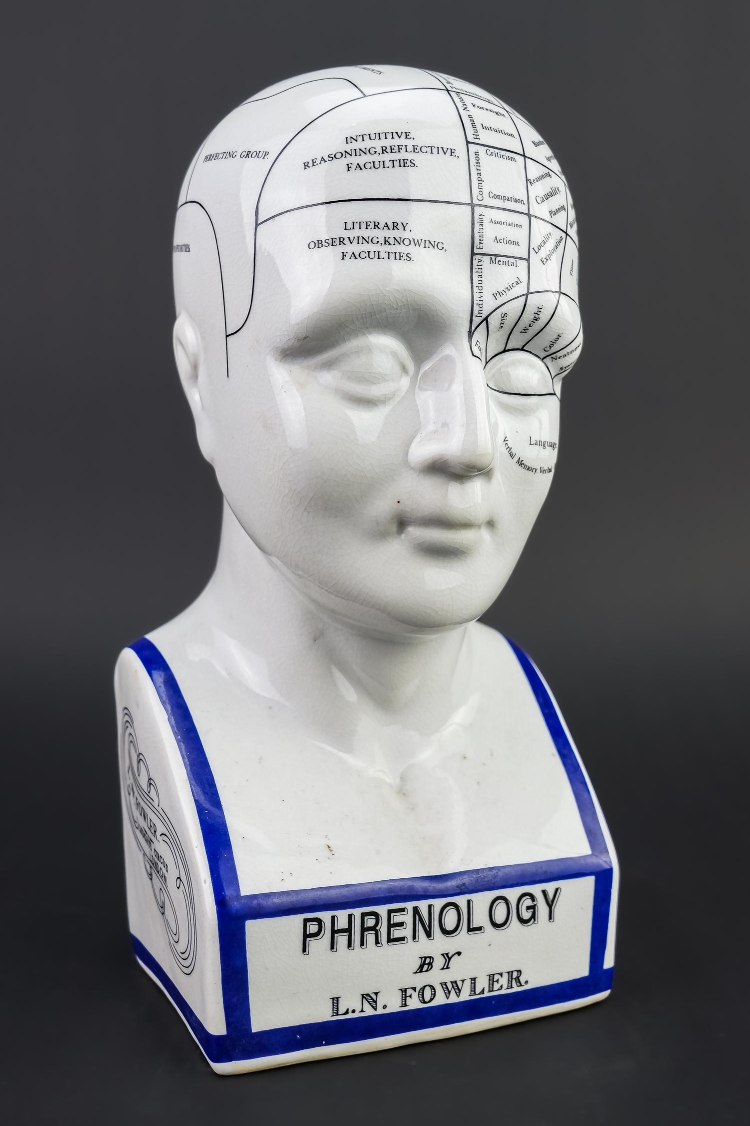 Replica L.N. Fowler Pottery Phrenology Bust (1 of 5)
