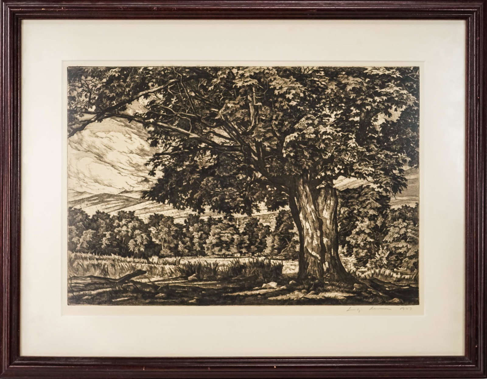 Luigi Lucioni (IT/AM 1900-1988): Luigi Lucioni (Italian American 1900-1988) Spreading Maple engraving on paper, signed lower margin dated 1947 published by Associated American Artists NYC. Plate 10.5 x 15.5" 17 x 22" as framed.