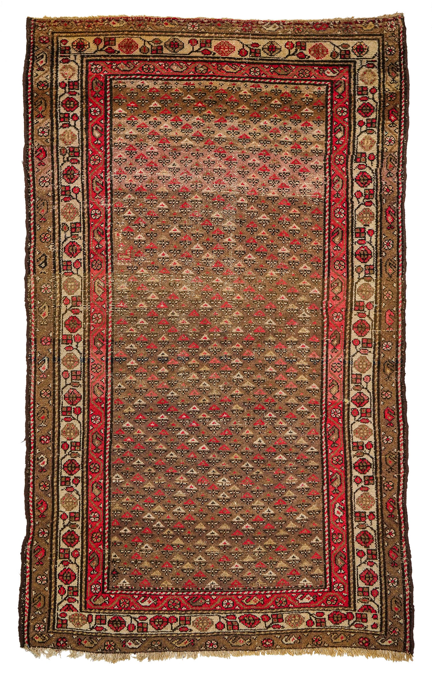 Early 20th c Persian Area Rug (1 of 3)