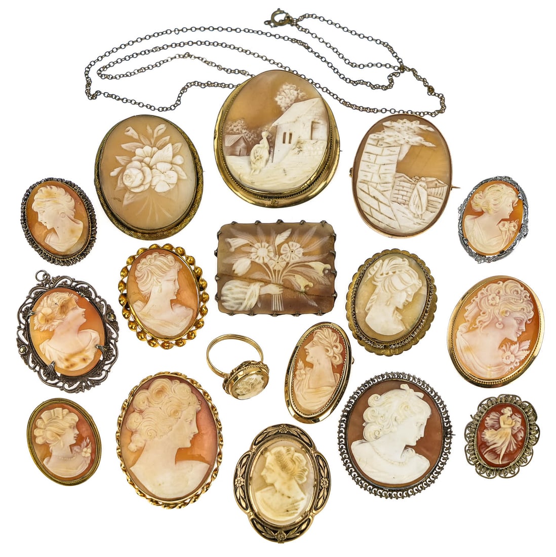 17 Shell Cameo's (1 of 4)