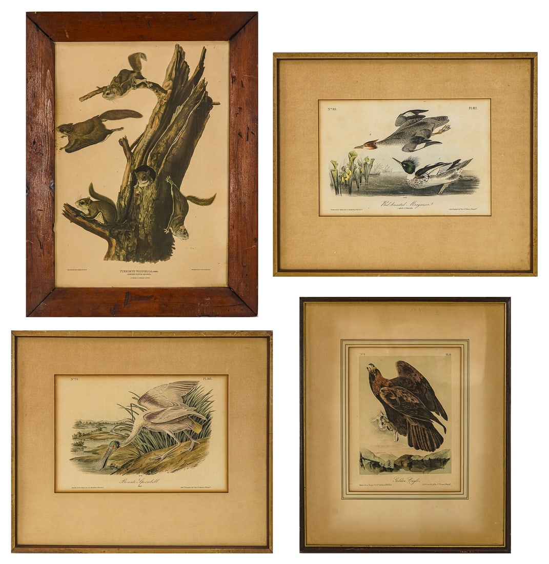 Four Audubon Prints - (1 of 5)