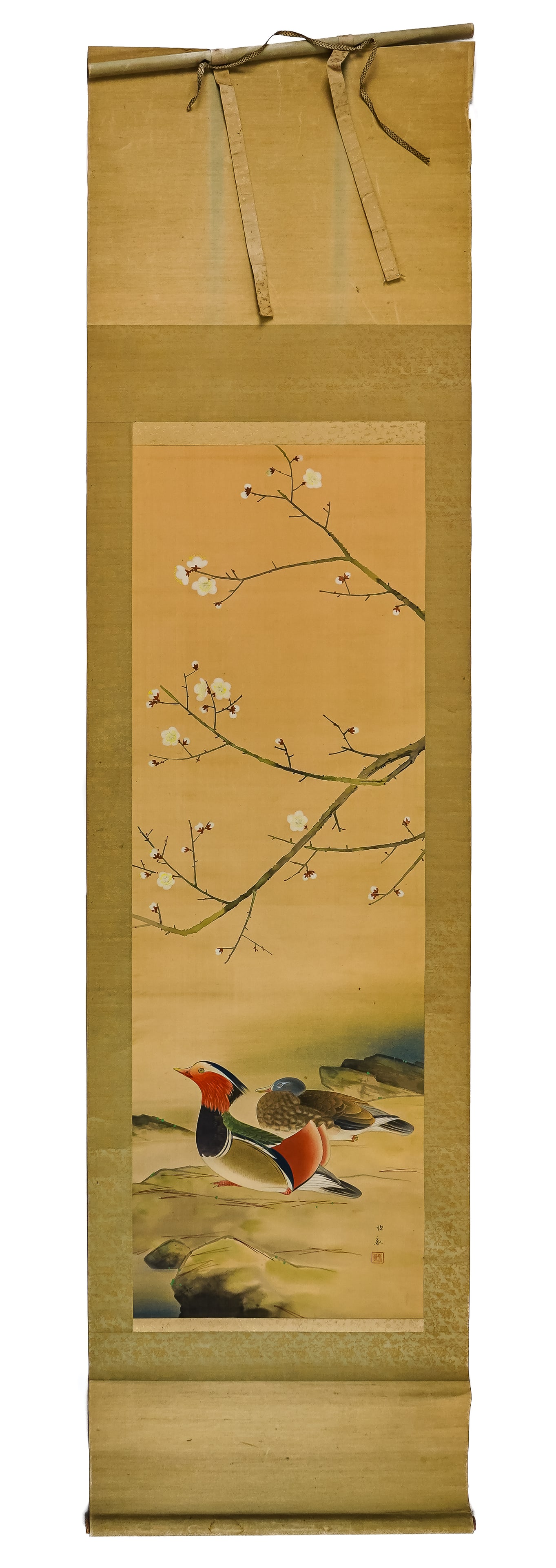Japanese Watercolor Scroll of Mandarin Ducks: 19th/ early 20th c Japanese scroll watercolor of two Mandarin ducks under cherry blossoms, censor stamped & character signed. 22" x 83", one roller not attached