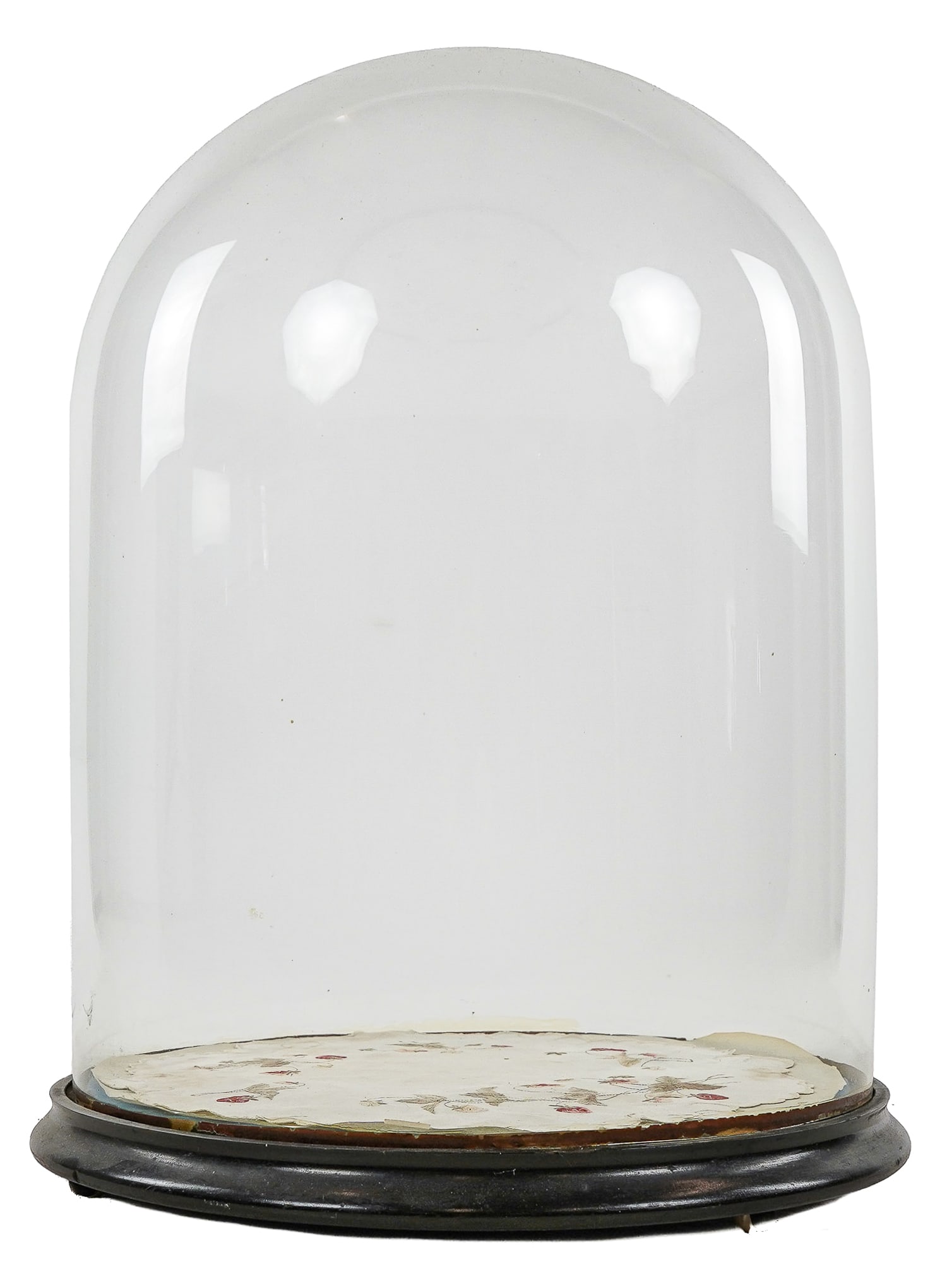 Victorian Glass Dome (1 of 8)