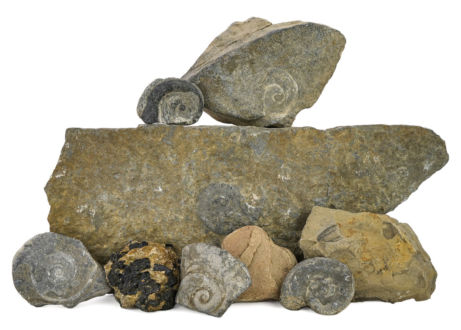 Fossils & Minerals from the Champlain Valley (1 of 2)