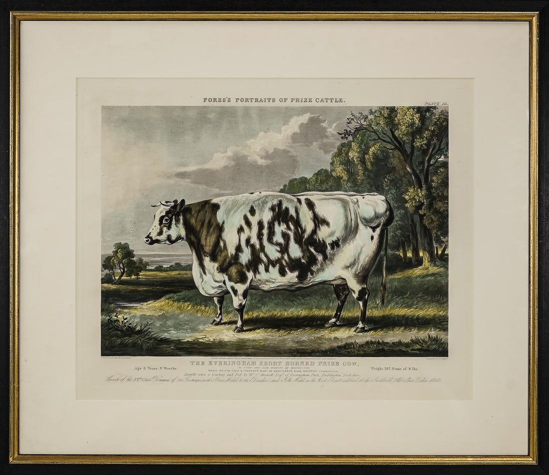 Fores's Portraits of Prise Cattle (1 of 3)