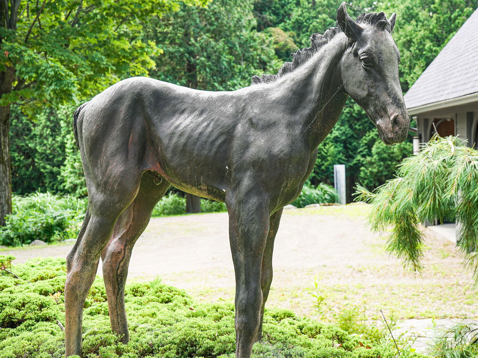 Joe Fafard (CA 1942-2019) Pecos (1 of 5)