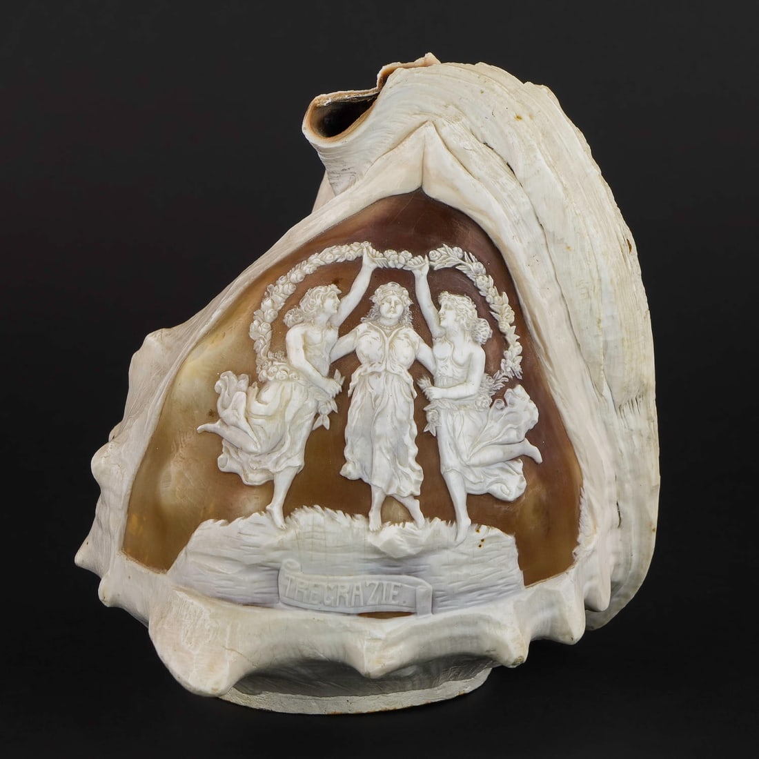 Italian Cameo Carved Conch Shell Lamp Shade (1 of 6)