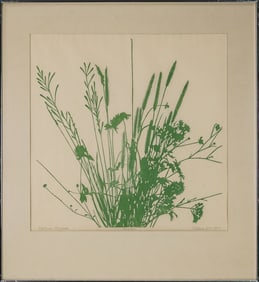 Sabra Field (VT 1935-) Pasture Grasses