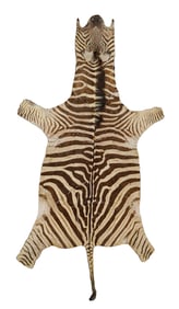 MCM Zebra Skin Rug