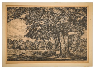 Luigi Lucioni (VT 1900-1988) Sugar Maple in Summer