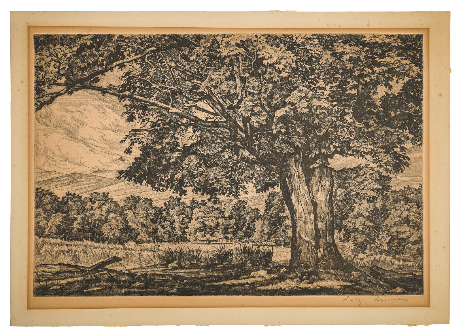 Luigi Lucioni (VT 1900-1988) Sugar Maple in Summer (1 of 4)