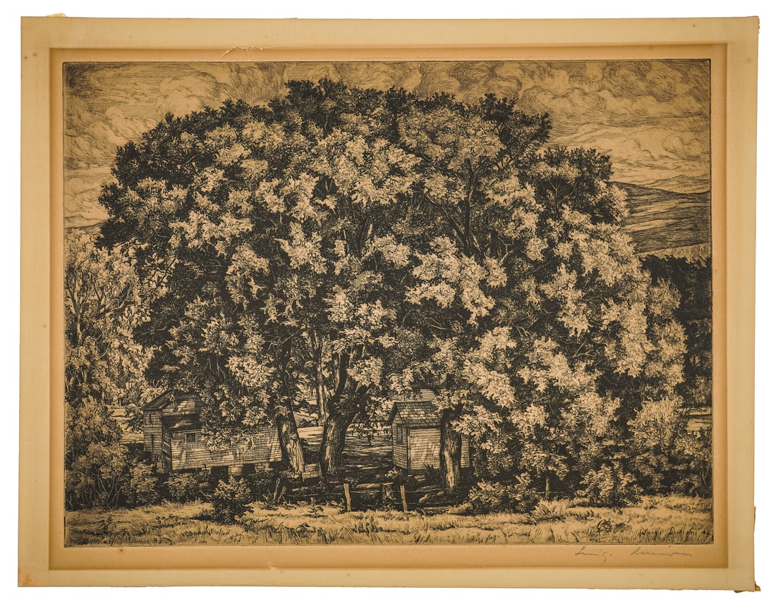Luigi Lucioni (VT 1900-1988) Cottages amongst the Elms: Luigi Lucioni (Vermont 1900-1988) Cottages Amongst the Elms etching on paper published by Associated American Artists NY sheet 12 x 15.5" signed lower margin in pencil