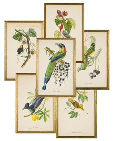 Six Callier Bird Lithographs