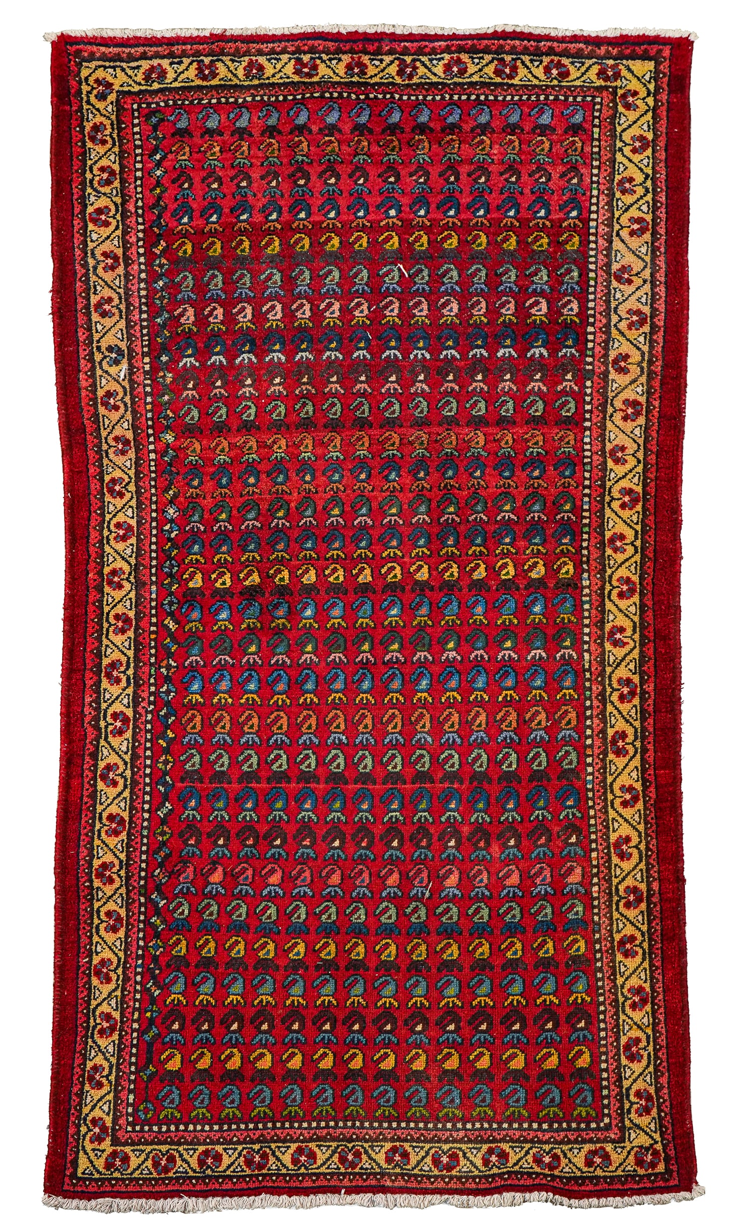 Late 20th c Indo Pakistani Area Rug (1 of 4)