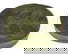 item-210146344=3
