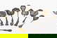 item-210146400=2