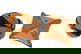 item-210146454=5
