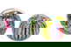 item-210146597=2
