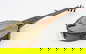 item-210568530=3