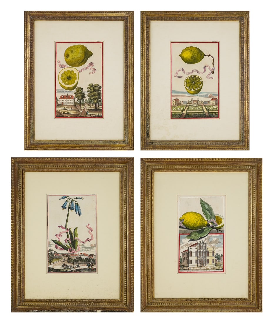Johan Delsenbach- Four hand colored engravings (1 of 9)