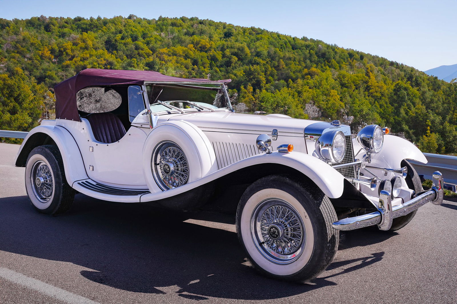 1989 Duke Jaguar SS 100 Type RDS (1 of 11)