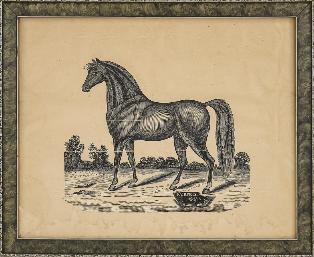 HVR Poole Northfield Vermont Woodblock: After HVR Poole Northfield Vermont Woodblock print of a Morgan Horse signed in plate. Printed mid 1960's as part of programming at the Fleming Museum at UVM and owned by noted Vermont historian Lillia