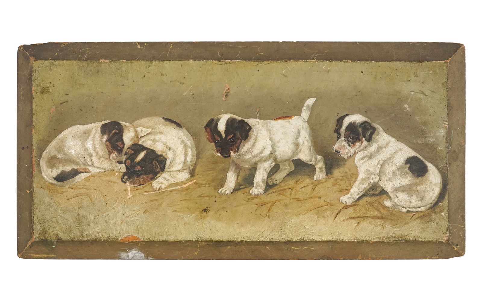 19th c Oil on panel with four puppies (1 of 4)