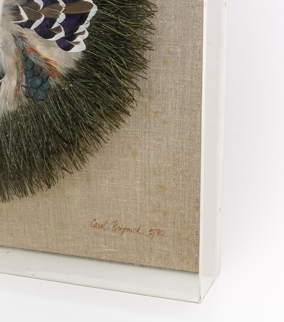 Native American Shadow Box with Feather Art - 4