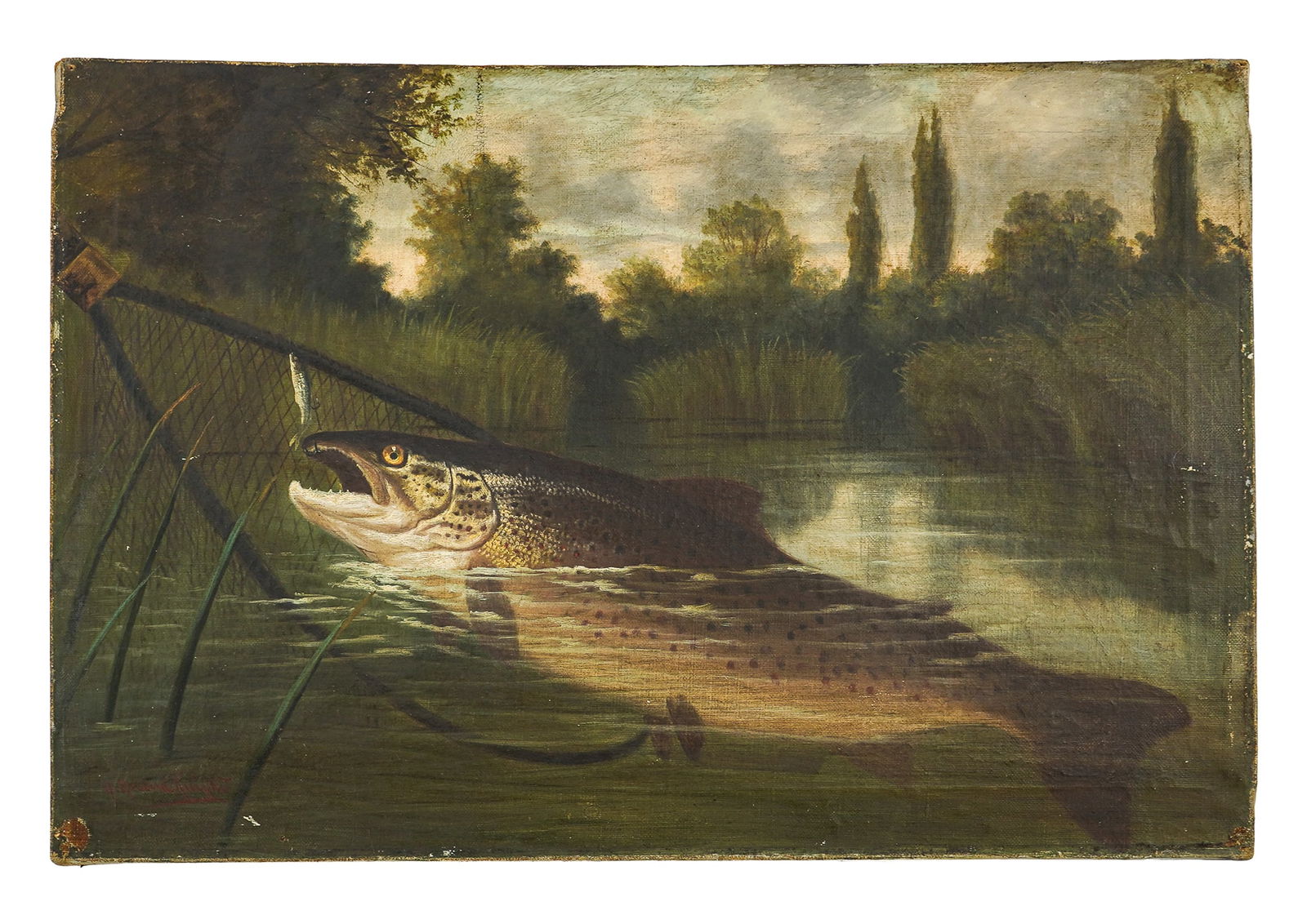 A. Roland Knight (British 1879-1921) Oil Brown Trout: Oil on canvas signed by A. Roland Knight (British 1879-1921) of a large brown trout being netted in river scene. 16" x 20". Some edge / frame wear.