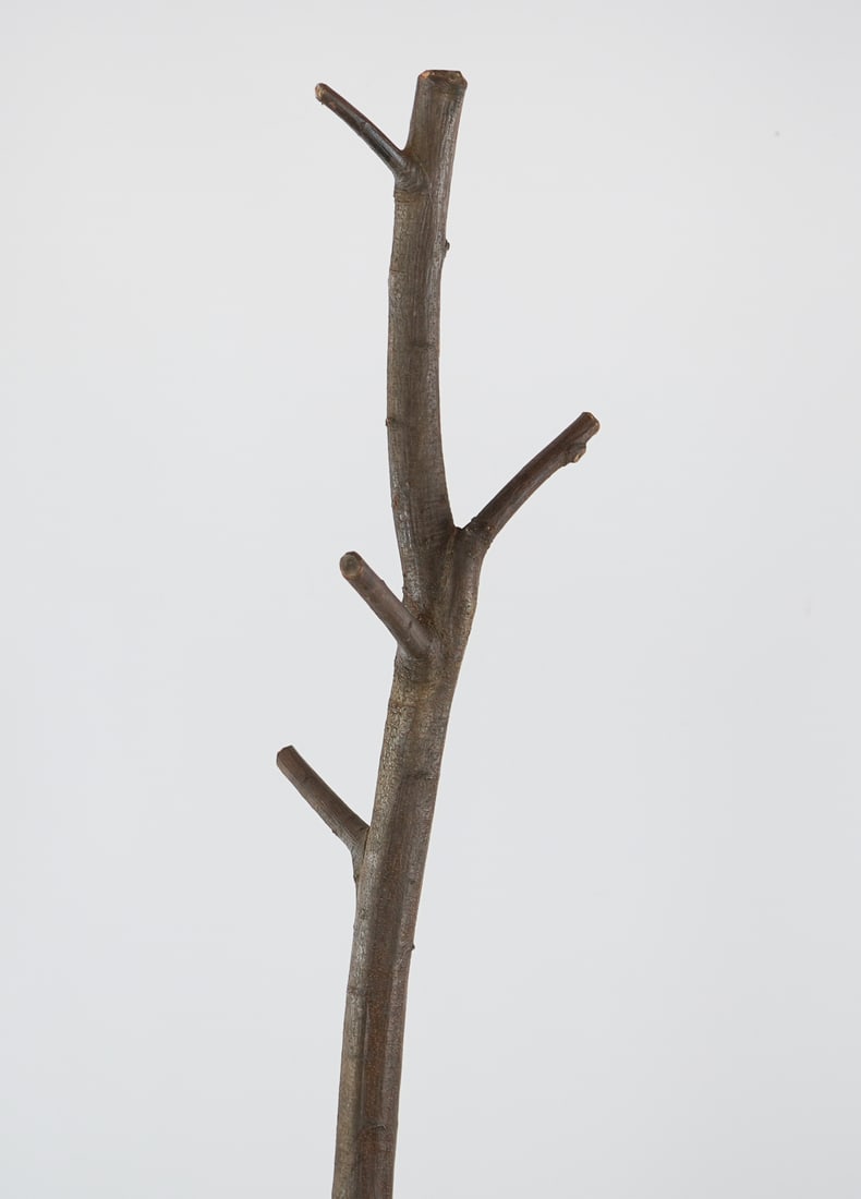 Adirondack Rustic Twig Coat rack - 4