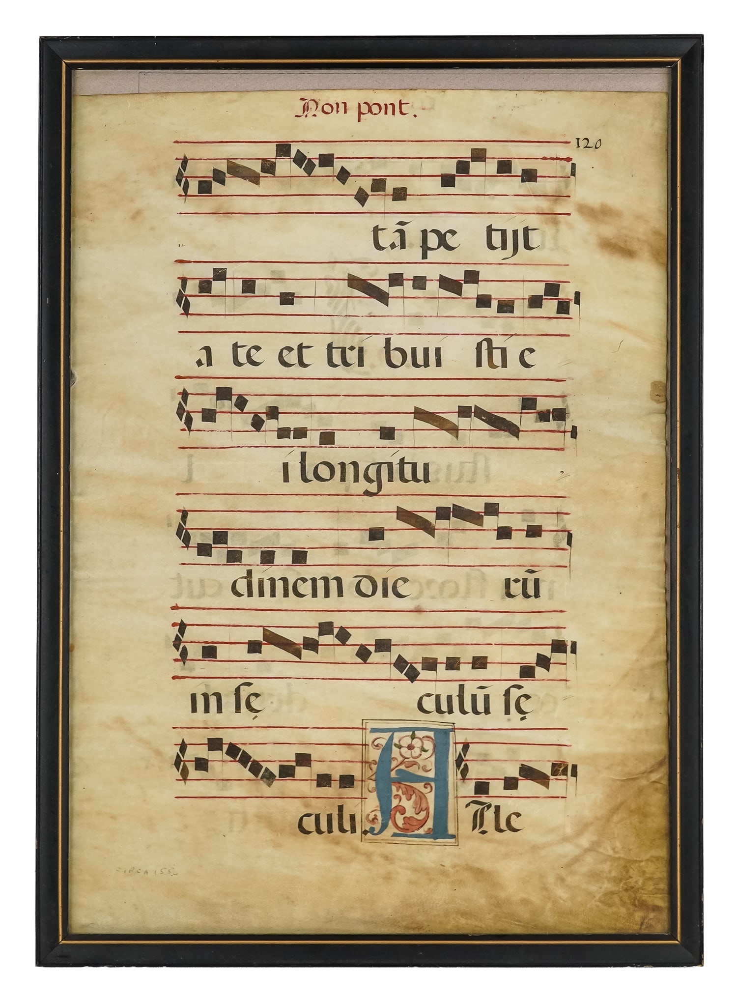Medieval Gregorian Chant Pages - 2