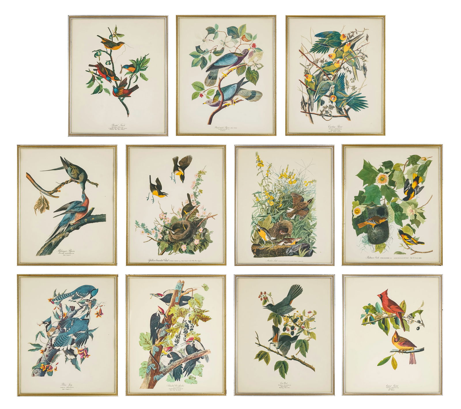 After John James Audubon (AM 1785-1851) (1 of 12)