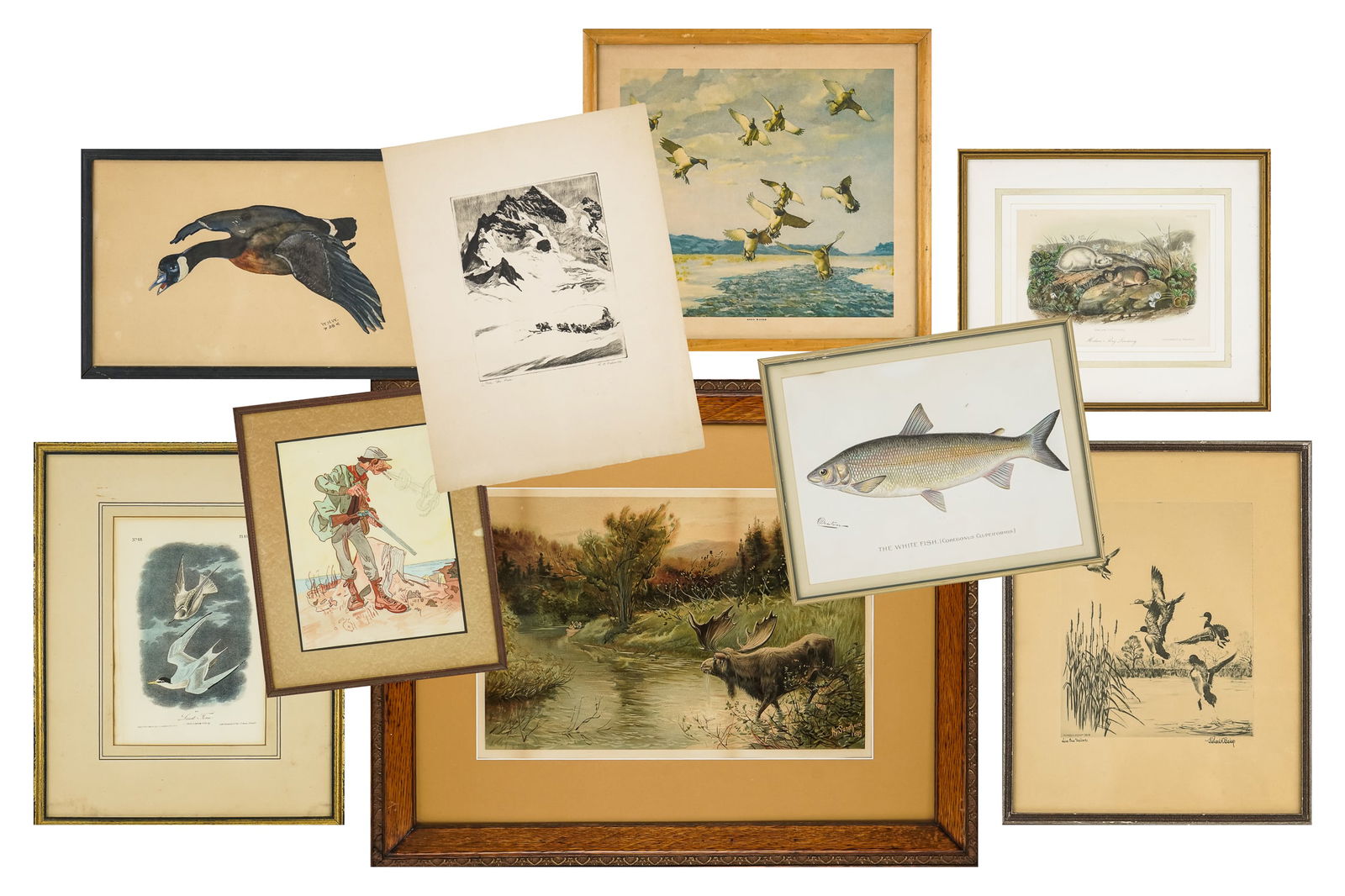 Lot of Sporting Art incl. Denton, Bishop Prints (1 of 10)