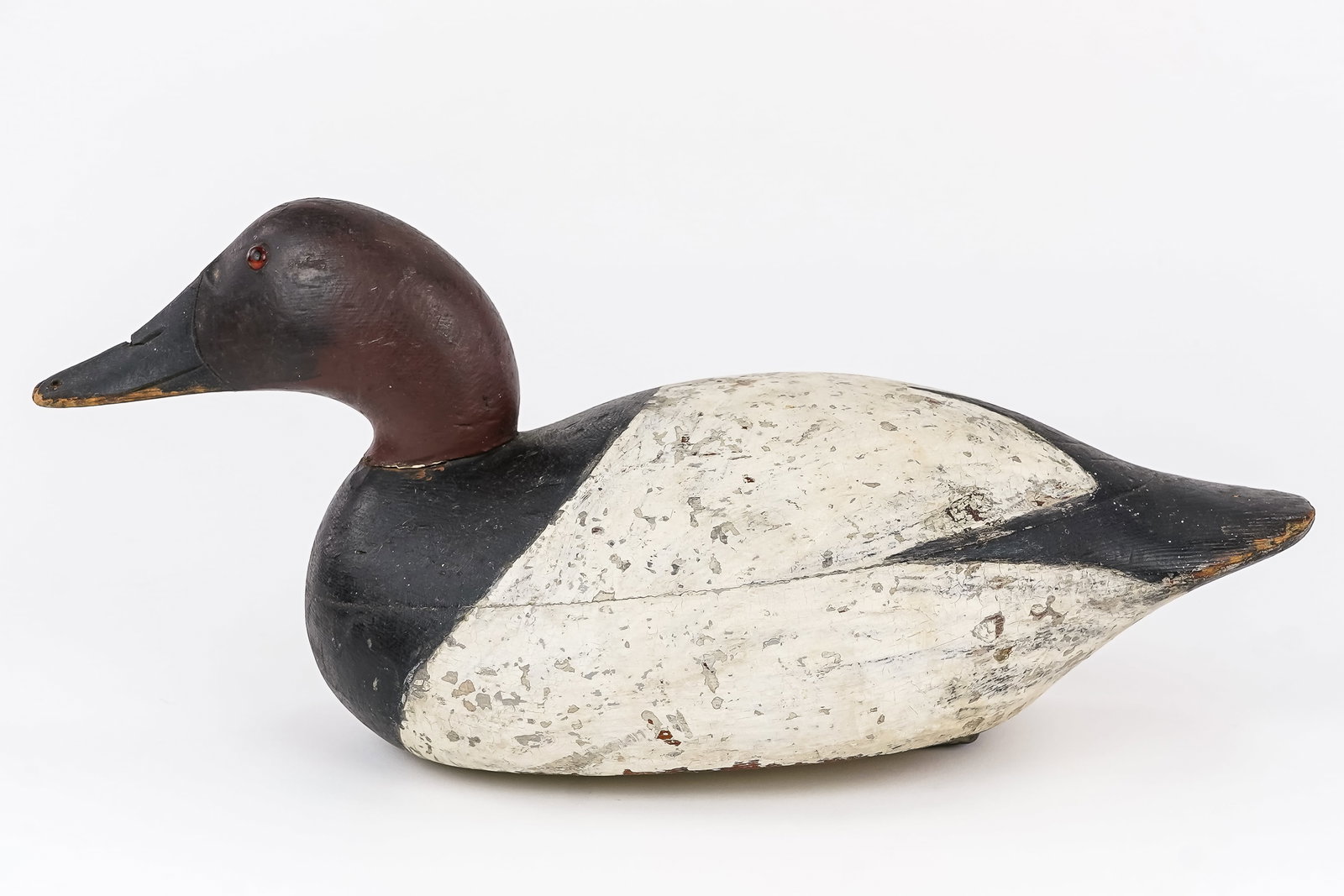 Mason Challenge Grade Canvasback Decoy - 5