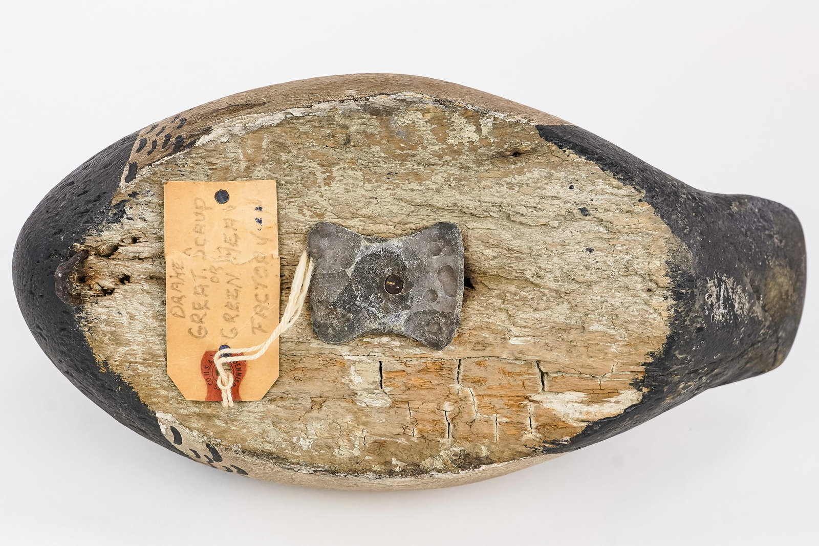 Preening Bluebill Drake Decoy - 5