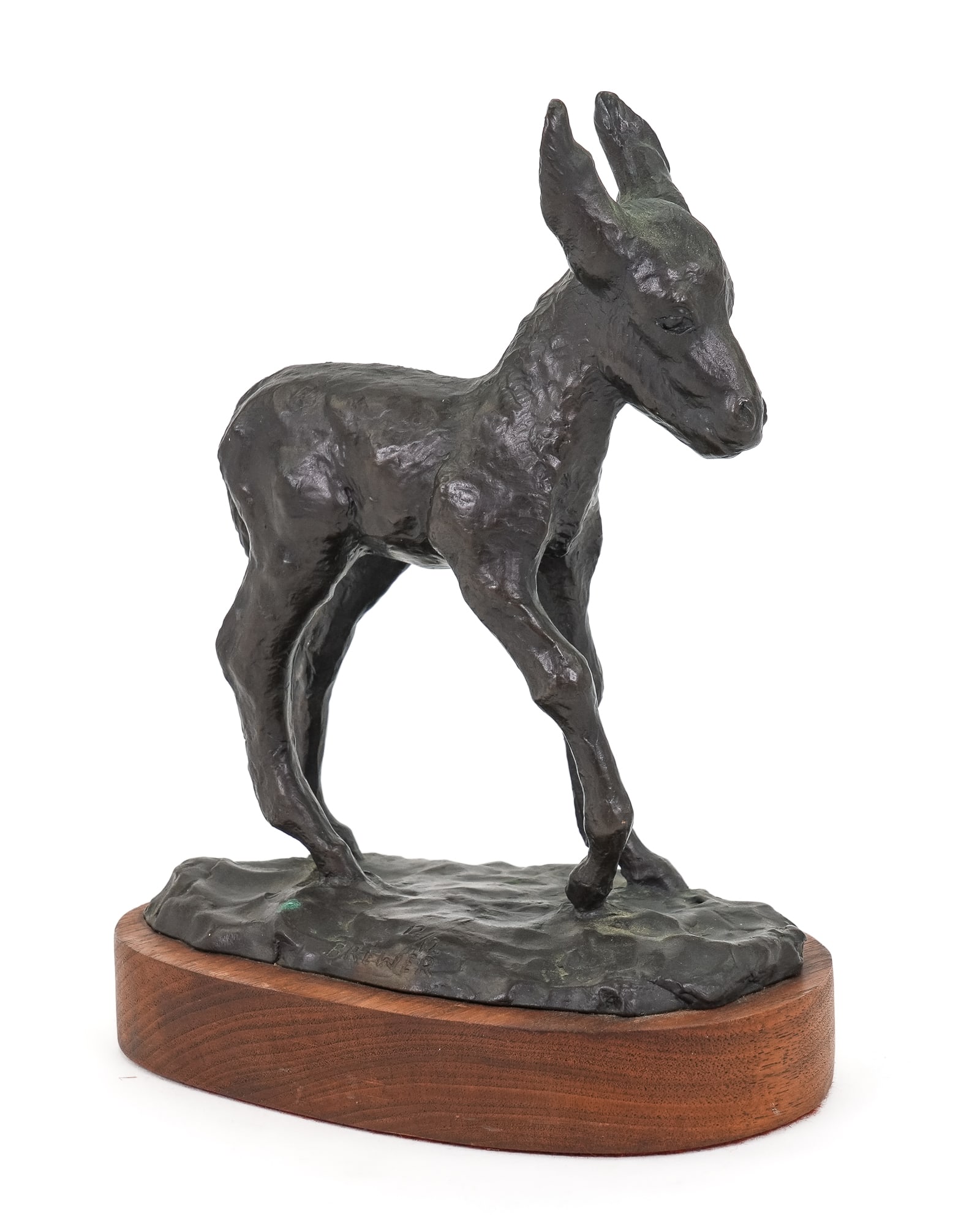 Young Donkey Bronze Signed Brewer - 2
