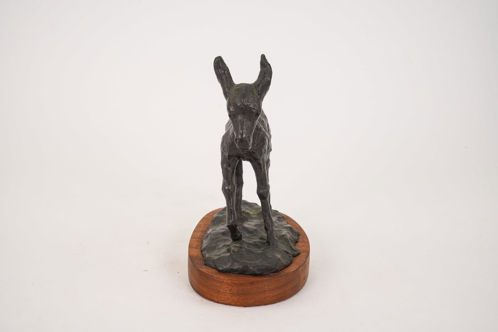 Young Donkey Bronze Signed Brewer - 3