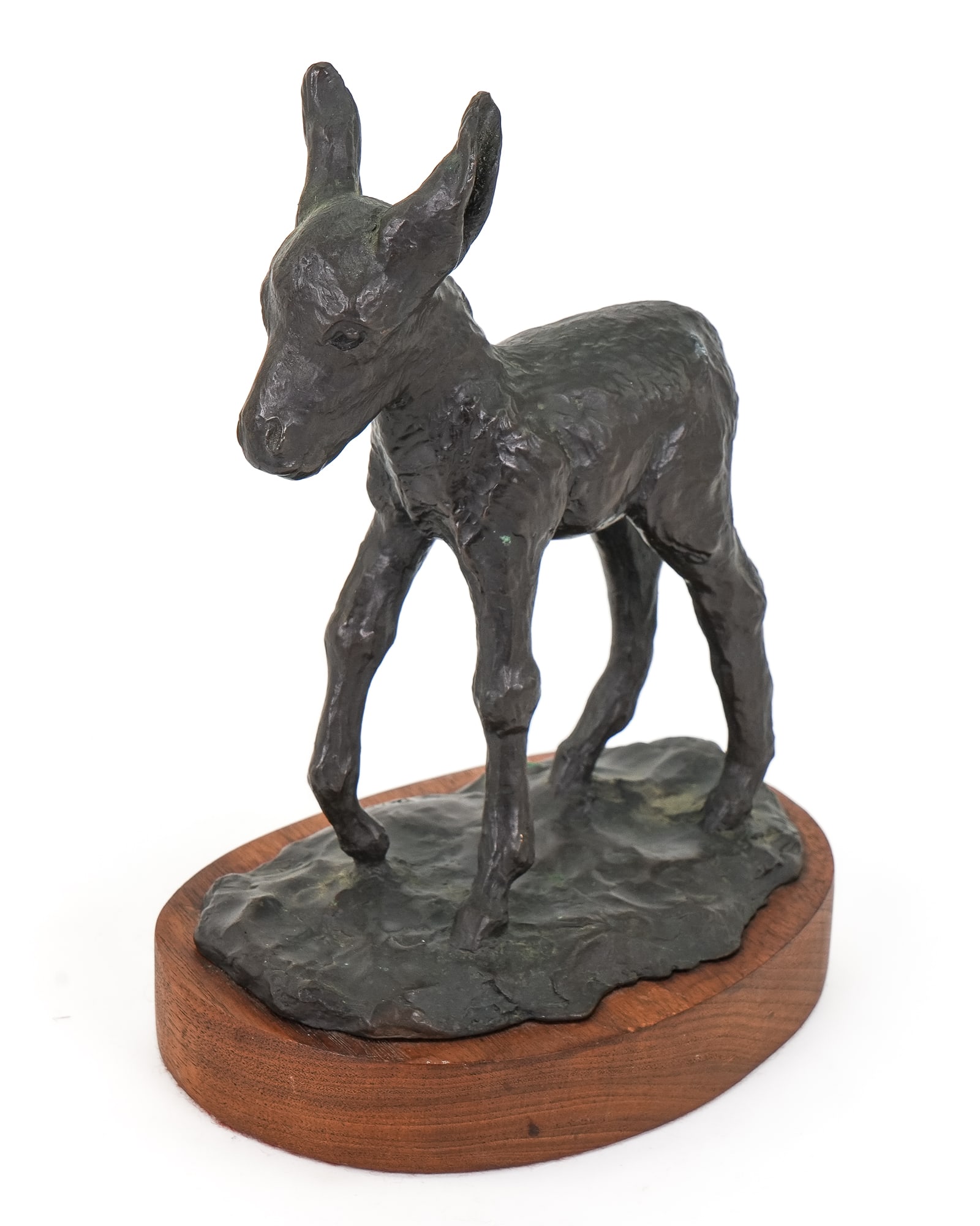 Young Donkey Bronze Signed Brewer - 4