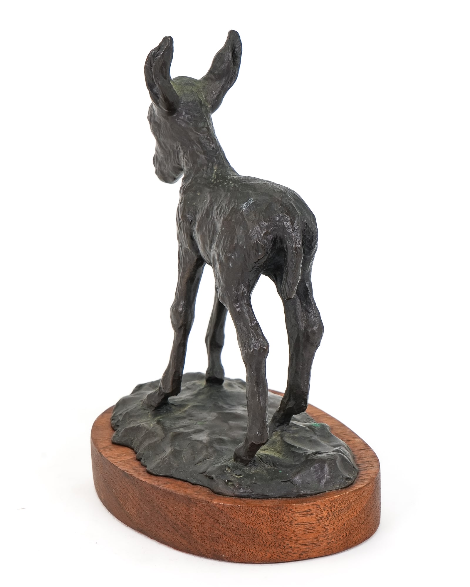 Young Donkey Bronze Signed Brewer - 6