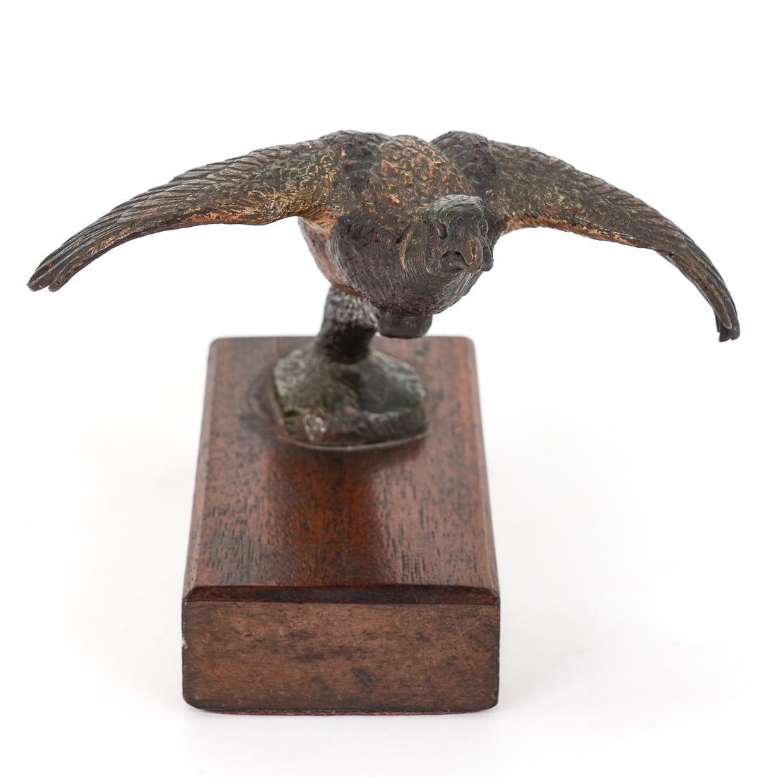 Austrian Cold Painted Bronze Pheasant - 3