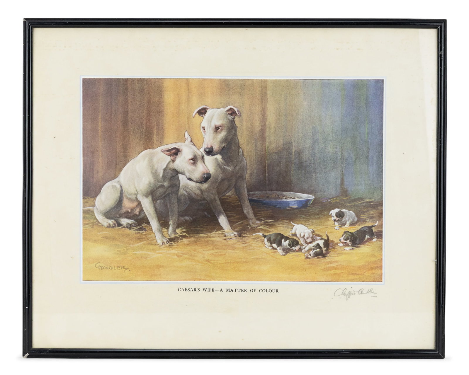 Christopher Gifford Ambler (EN 1886-) Caesar's Wife: Christopher Gifford Ambler (English 1886-) Caesar's Wife A Matter of Colour- comic chromolithograph on paper implying canine infidelity. Artist signed lower margin plate 10 x 14" 17 x 21" as framed . 
