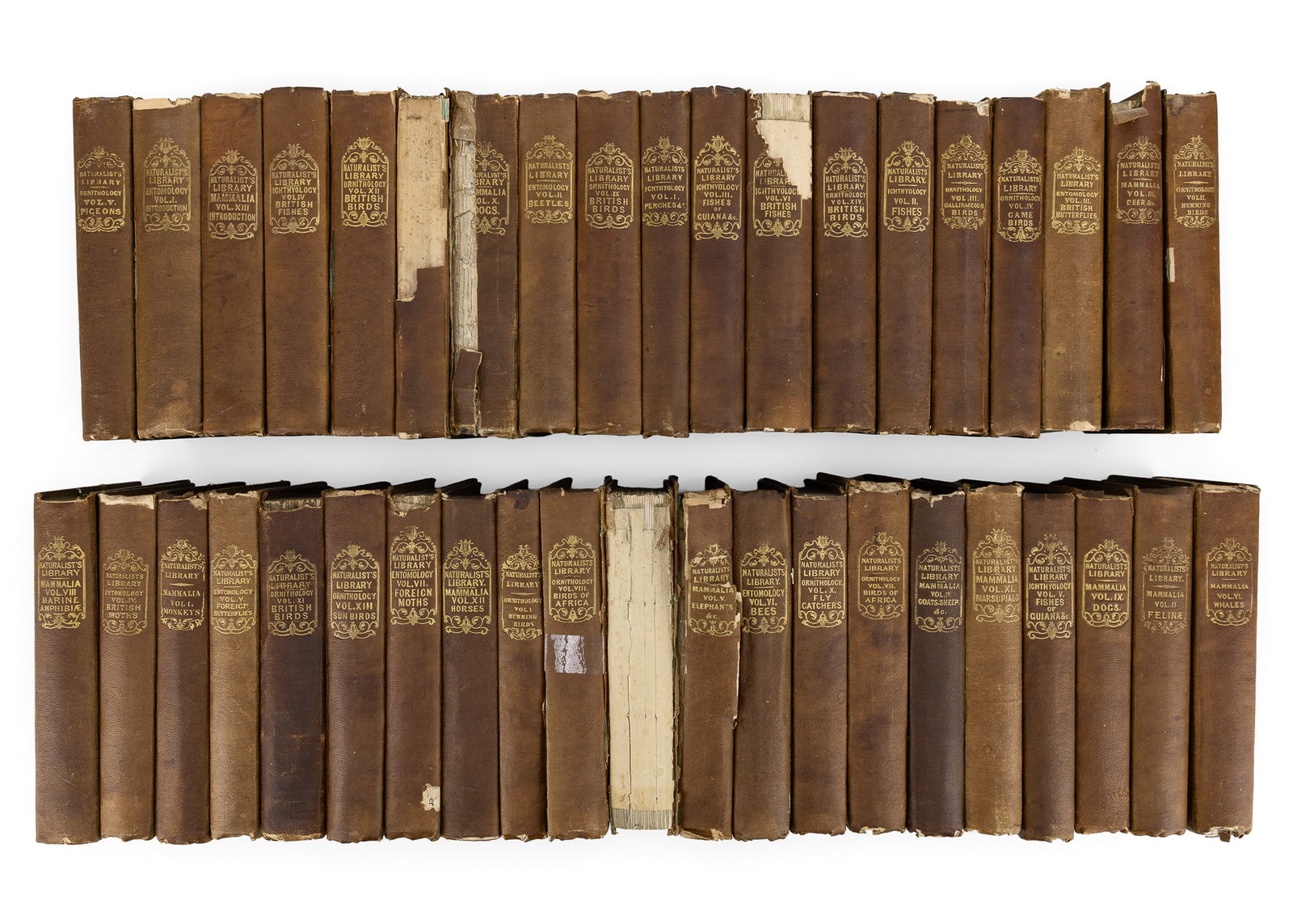 Jardine The Naturalist's Library 40 vols: 1834-1840 Sir William Jardine "The Naturalist's Library (40 vols), all with color plates, books in varying conditions, 7" x 4 3/4"