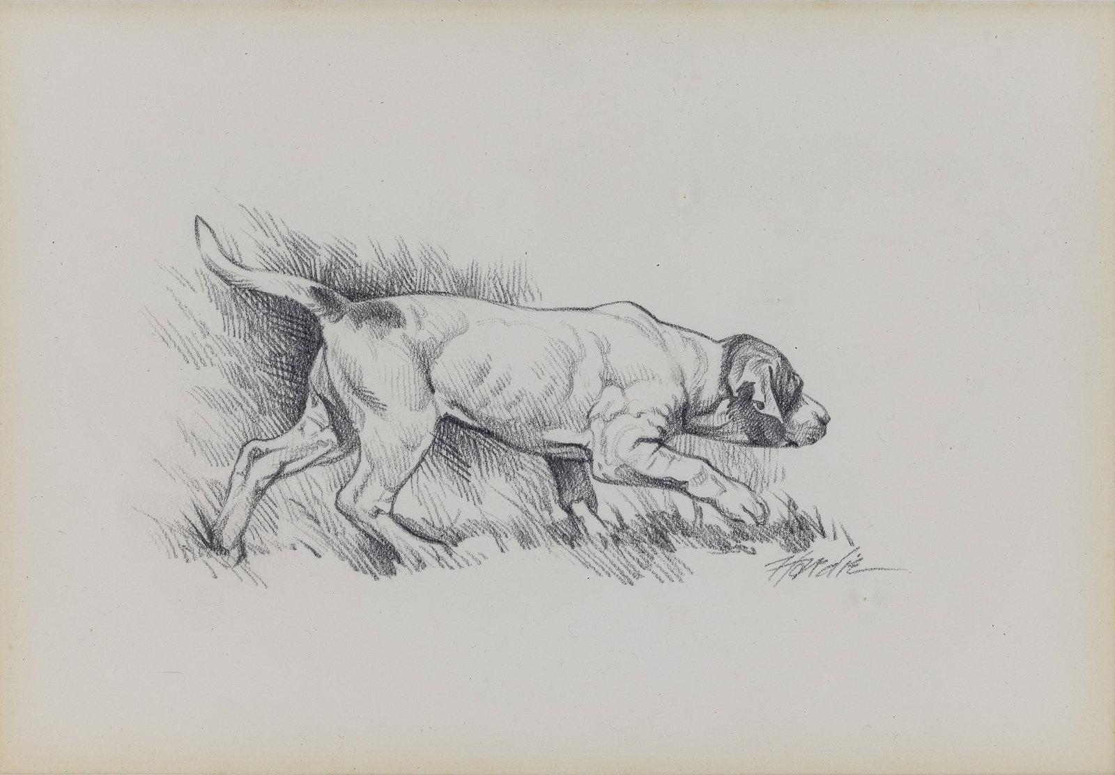 Eldridge Hardie (AM 1940-2021 ) Pointer Pup - 2
