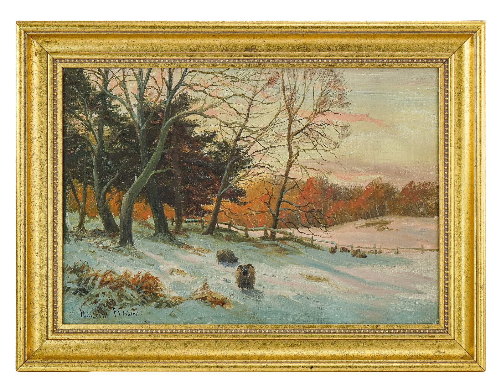 Malcolm Fraser (CA 1868-1949) Winter Pastoral With Sheep: Malcolm Fraser (Canadian 1868-1949) Winter Pastoral with Sheep- Oil on canvas signed lower left - 14 x 21" 19 x 27" as framed.